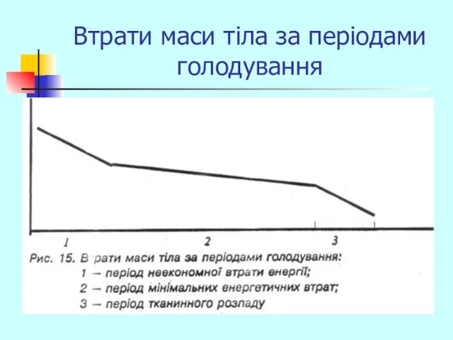 Втрати маси тіла за періодами голодування