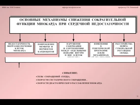 СНИЖЕНИЕ: •СИЛЫ СОКРАЩЕНИЙ СЕРДЦА, •СКОРОСТИ СИСТОЛИЧЕСКОГО СОКРАЩЕНИЯ , •СКОРОСТИ ДИАСТОЛИЧЕСКОГО РАССЛАБЛЕНИЯ МИОКАРДА 31