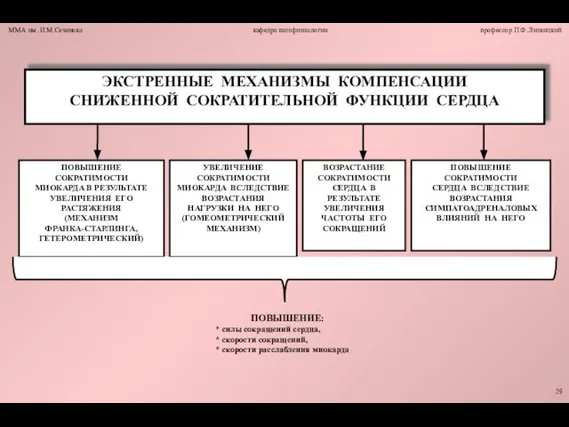 ПОВЫШЕНИЕ: * силы сокращений сердца, * скорости сокращений, * скорости расслабления миокарда 29