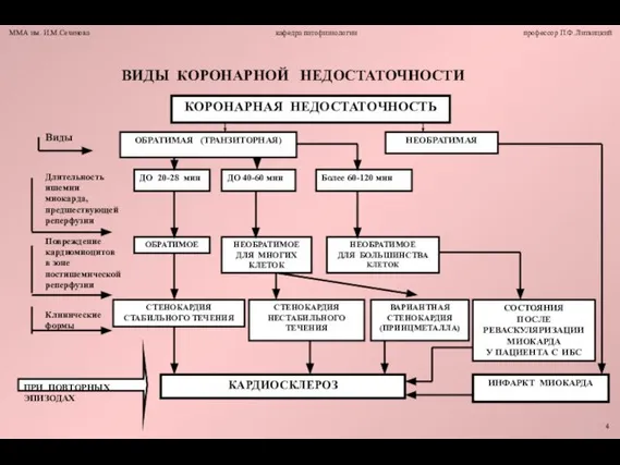 ВИДЫ КОРОНАРНОЙ НЕДОСТАТОЧНОСТИ Виды Длительность ишемии миокарда, предшествующей реперфузии Повреждение кардиомиоцитов