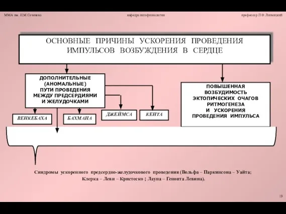 Синдромы ускоренного предсердно-желудочкового проведения (Вольфа – Паркинсона – Уайта; Клерка –