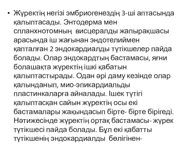 Жүректің негізі эмбриогенездің 3-ші аптасында қалыптасады. Энтодерма мен спланхнотомның висцералды жапырақшасы