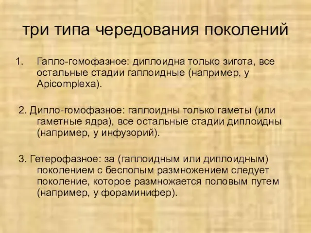 три типа чередования поколений Гапло-гомофазное: диплоидна только зигота, все остальные стадии