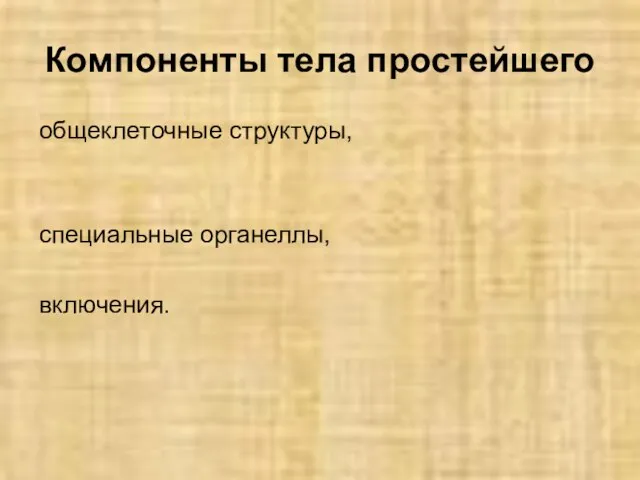 Компоненты тела простейшего общеклеточные структуры, специальные органеллы, включения.