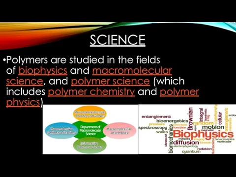 SCIENCE Polymers are studied in the fields of biophysics and macromolecular