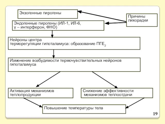 Экзогенные пирогены Эндогенные пирогены (ИЛ-1, ИЛ-6, γ – интерферон, ФНО) Нейроны