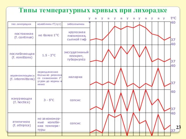 у в у в у в у в у в у