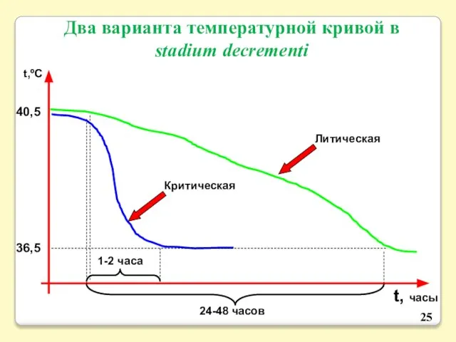 Два варианта температурной кривой в stadium decrementi