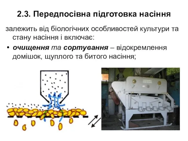 2.3. Передпосівна підготовка насіння залежить від біологічних особливостей культури та стану