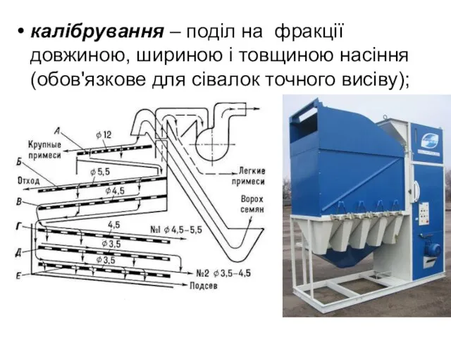 калібрування – поділ на фракції довжиною, шириною і товщиною насіння (обов'язкове для сівалок точного висіву);