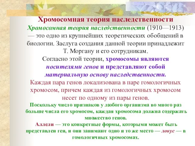 Хромосомная теория наследственности Хромосомная теория наследственности (1910—1913) — это одно из