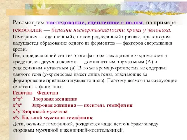 Рассмотрим наследование, сцепленное с полом, на примере гемофилии — болезни несвертываемости