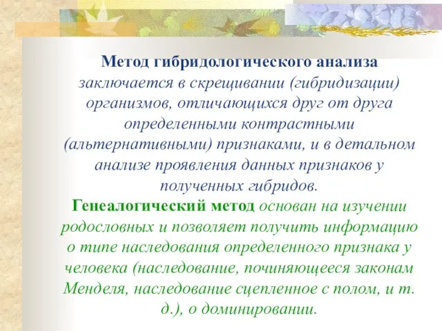 Метод гибридологического анализа заключается в скрещивании (гибридизации) организмов, отличающихся друг от