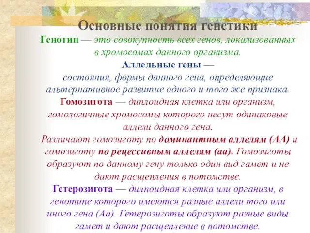 Основные понятия генетики Генотип — это совокупность всех генов, локализованных в