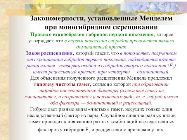 Закономерности, установленные Менделем при моногибридном скрещивании Правило единообразия гибридов первого поколения,