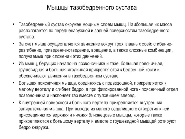 Мышцы тазобедренного сустава Тазобедренный сустав окружен мощным слоем мышц. Наибольшая их