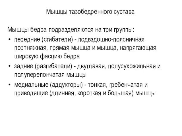 Мышцы тазобедренного сустава Мышцы бедра подразделяются на три группы: передние (сгибатели)