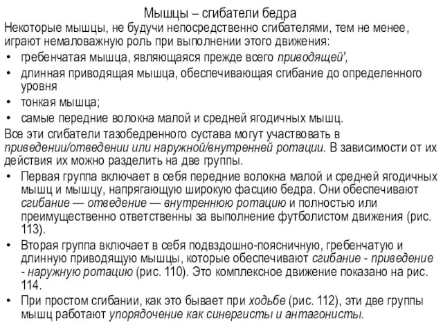 Мышцы – сгибатели бедра Некоторые мышцы, не будучи непосредственно сги­бателями, тем