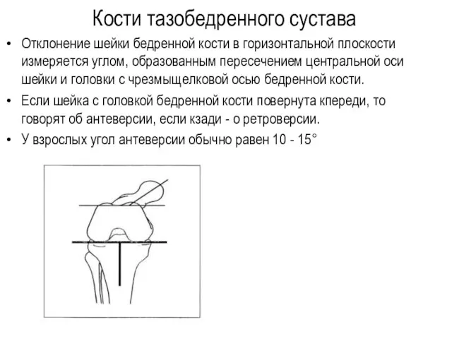 Кости тазобедренного сустава Отклонение шейки бедренной кости в горизонтальной плоскости измеряется