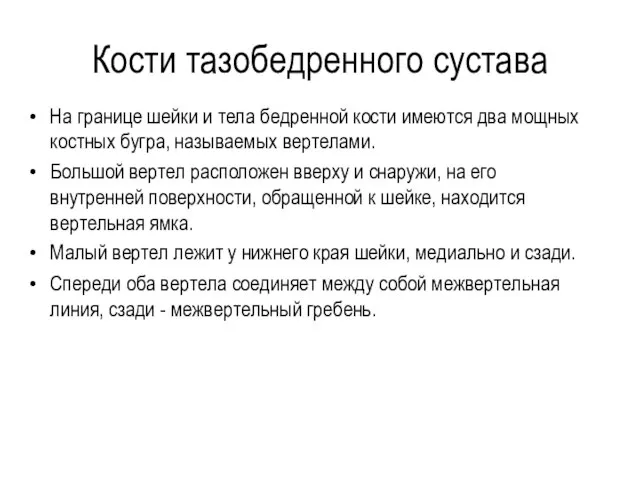 Кости тазобедренного сустава На границе шейки и тела бедренной кости имеются