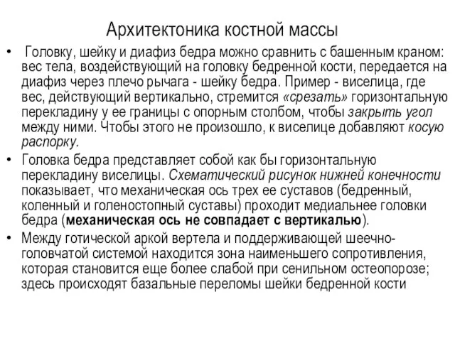 Архитектоника костной массы Головку, шейку и диафиз бедра можно сравнить с