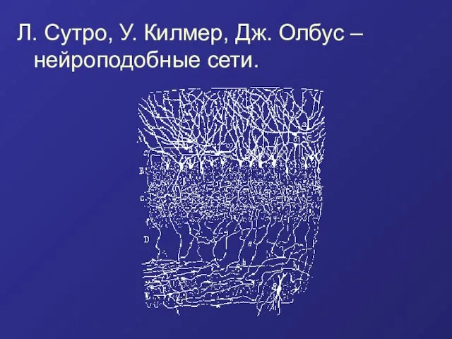 Л. Сутро, У. Килмер, Дж. Олбус – нейроподобные сети.