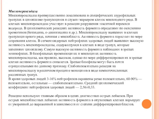 Миелопероксидаза Миелопероксидаза преимущественно локализована в специфических азурофильных гранулах в цитоплазме гранулоцитов