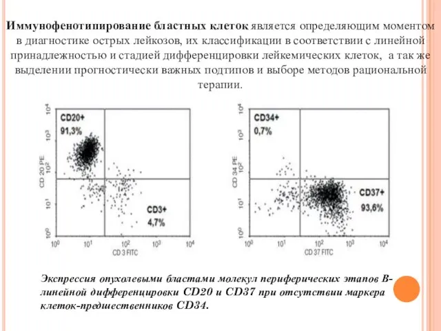 Иммунофенотипирование бластных клеток является определяющим моментом в диагностике острых лейкозов, их