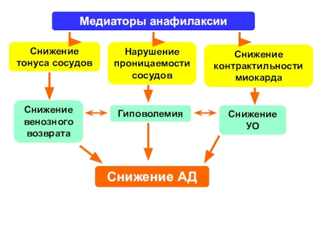 Снижение тонуса сосудов Нарушение проницаемости сосудов Снижение контрактильности миокарда Снижение венозного