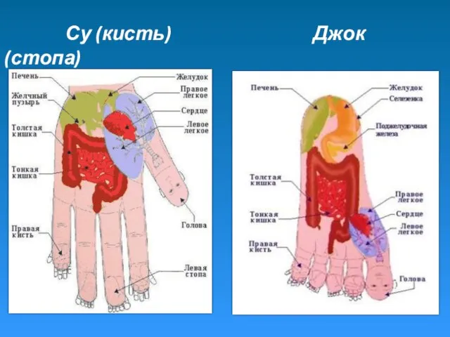 Су (кисть) Джок (стопа)