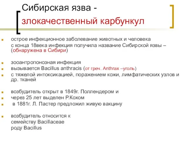 Сибирская язва - злокачественный карбункул острое инфекционное заболевание животных и человека