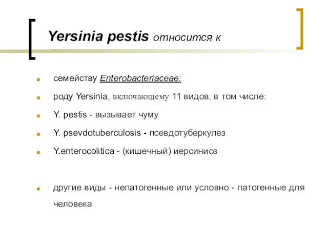 Yersinia pestis относится к семейству Enterobacteriaceae: роду Yersinia, включающему 11 видов,