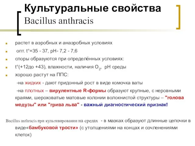 Культуральные свойства Bacillus anthracis растет в аэробных и анаэробных условиях опт.