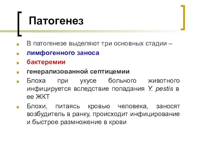 Патогенез В патогенезе выделяют три основных стадии – лимфогенного заноса бактеремии