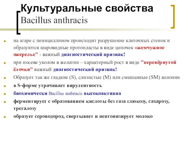 Культуральные свойства Bacillus anthracis на агаре с пенициллином происходит разрушение клеточных