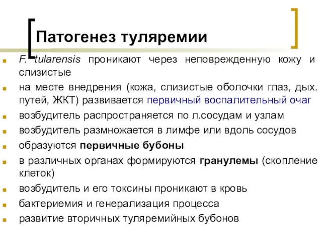 Патогенез туляремии F. tularensis проникают через неповрежденную кожу и слизистые на