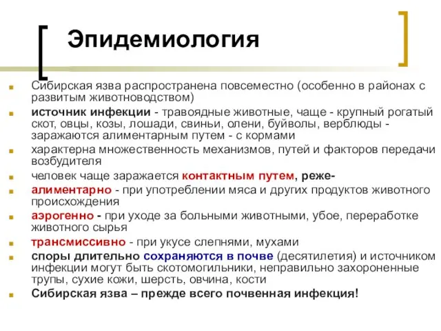 Эпидемиология Сибирская язва распространена повсеместно (особенно в районах с развитым животноводством)