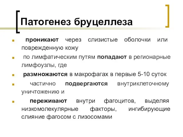 Патогенез бруцеллеза проникают через слизистые оболочки или поврежденную кожу по лимфатическим