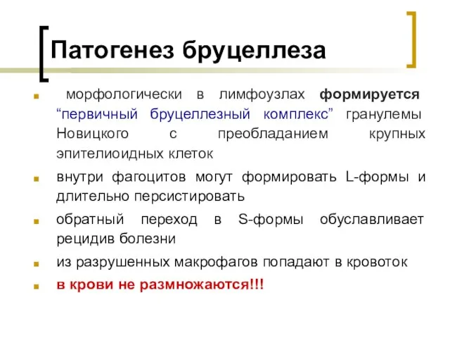 Патогенез бруцеллеза морфологически в лимфоузлах формируется “первичный бруцеллезный комплекс” гранулемы Новицкого