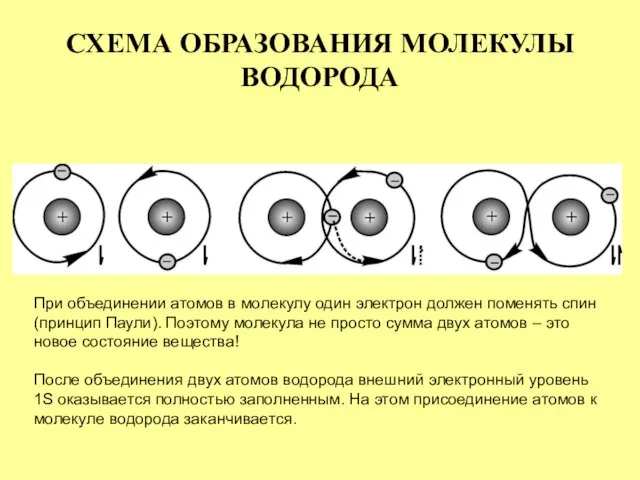 СХЕМА ОБРАЗОВАНИЯ МОЛЕКУЛЫ ВОДОРОДА При объединении атомов в молекулу один электрон