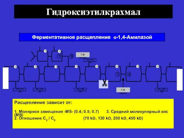 Гидроксиэтилкрахмал Ферментативное расщепление α-1,4-Амилазой Расщепление зависит от: 1. Молярное замещение -MS-