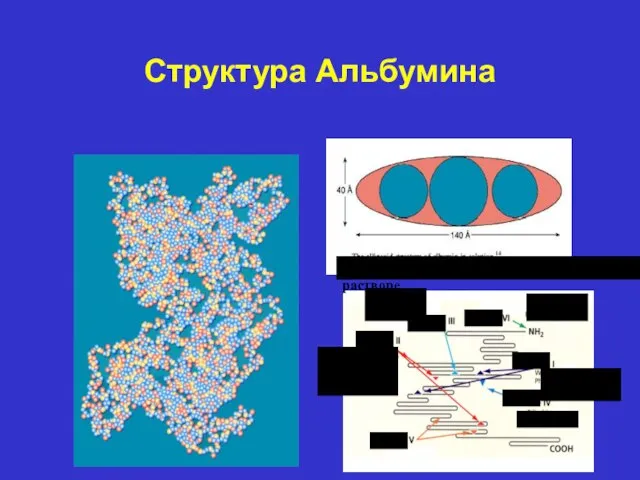 Структура Альбумина Эллипсоидная структура альбумина в растворе Дигитоксин Аспирин Бензодиазепины Пенициллин