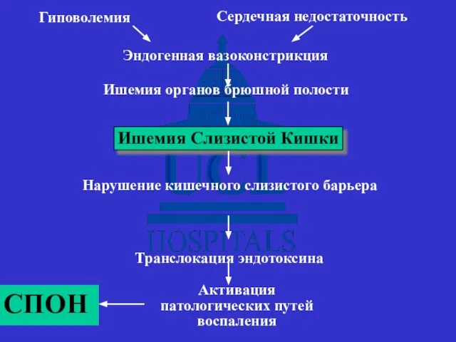 Гиповолемия Сердечная недостаточность Эндогенная вазоконстрикция Ишемия органов брюшной полости Ишемия Слизистой