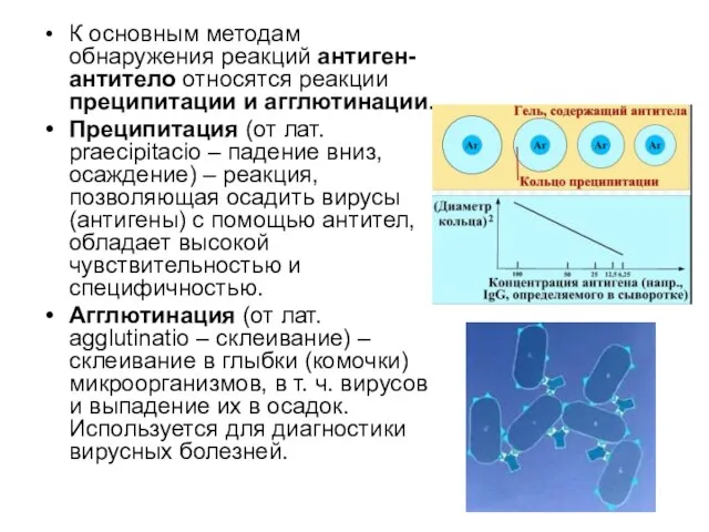 К основным методам обнаружения реакций антиген-антитело относятся реакции преципитации и агглютинации.