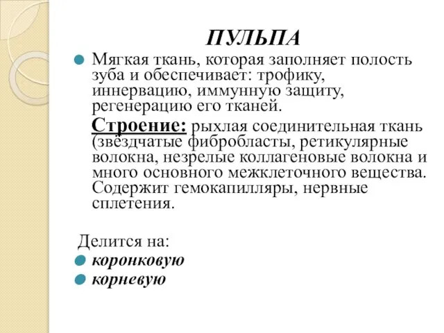 ПУЛЬПА Мягкая ткань, которая заполняет полость зуба и обеспечивает: трофику, иннервацию,