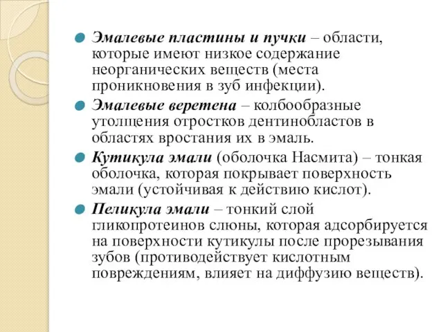 Эмалевые пластины и пучки – области, которые имеют низкое содержание неорганических