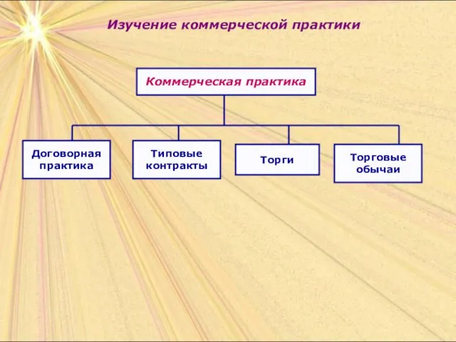 Изучение коммерческой практики Коммерческая практика Договорная практика Типовые контракты Торги Торговые обычаи