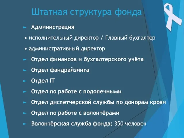 Штатная структура фонда Администрация • исполнительный директор / Главный бухгалтер •