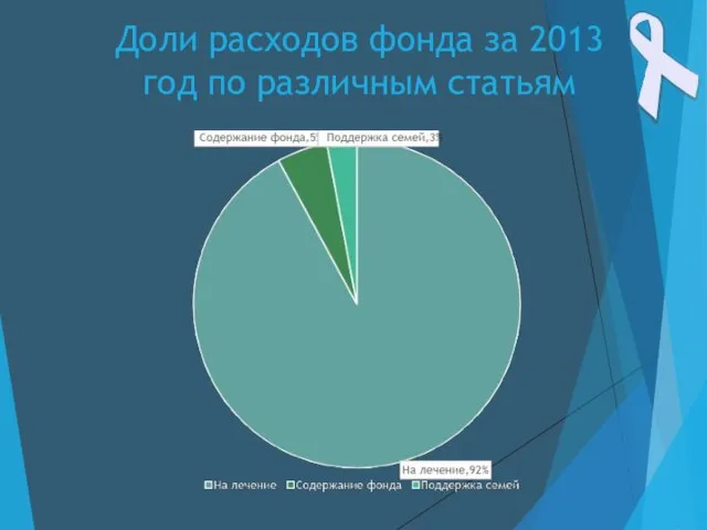 Доли расходов фонда за 2013 год по различным статьям