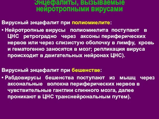 Энцефалиты, вызываемые нейротропными вирусами Вирусный энцефалит при полиомиелите: • Нейротропные вирусы